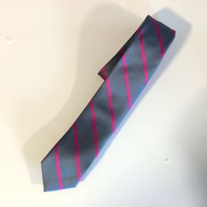 BDG Silver Skinny Tie with Pink Stripes